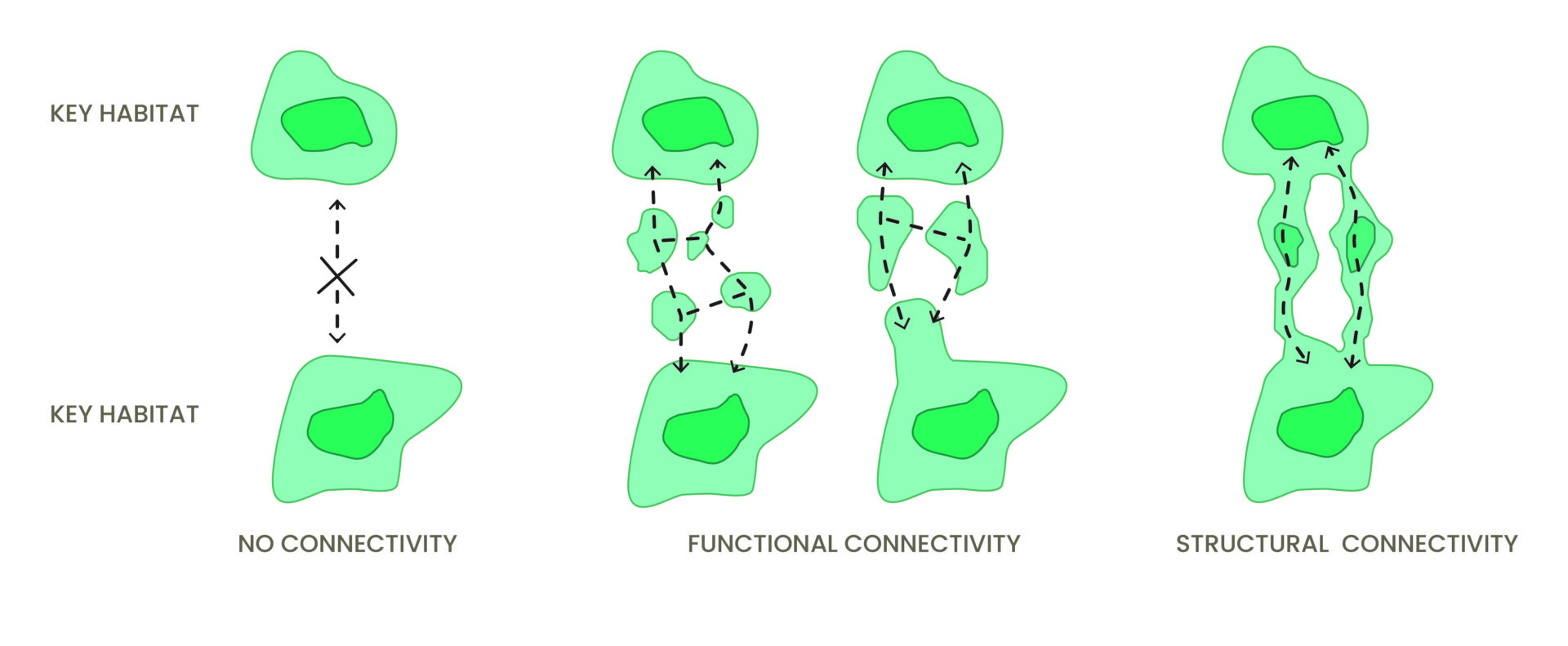 Ecosystem Integration